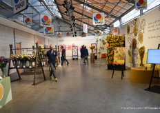 Several products of Takii on display. 